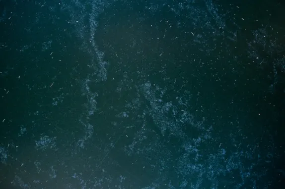 Tournaverse Casino Assistance